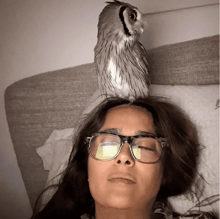 Pasărea adoră să fie mângâiată de SalmaFoto: Instagram