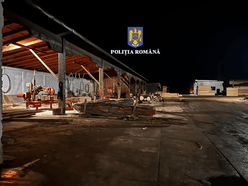 Jaf în păduri, spălare de bani, delapidare şi evaziune. Bilanţ după 146 de percheziţii