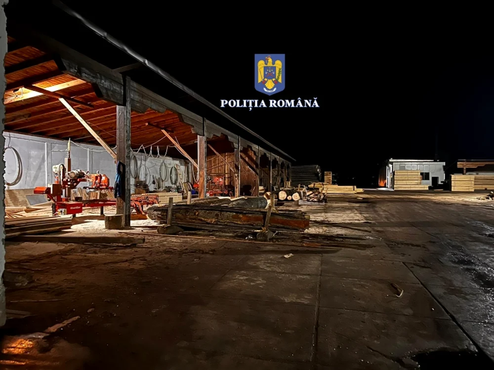 Descinderile au vizat o grupare infracțională din domeniul silvic FOTO Poliția Româno