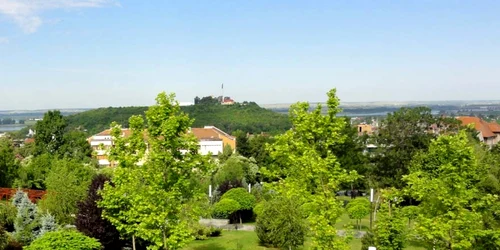 dealul gradiste slatina