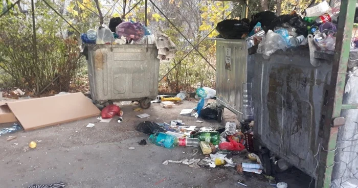 Mulţi braşoveni aruncă gunoiul menajer sau rezultat în urma renovărilor în afara ţarcurilor special amenajate de primărie. Foto: Ionuţ Dincă