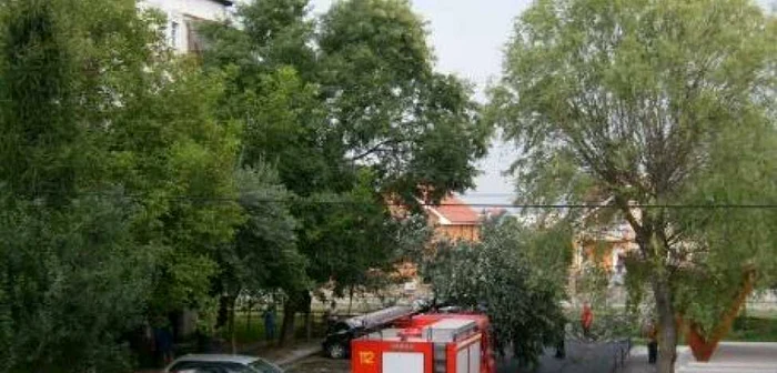 Pompierii au intervenit pentru a-l elibera pe bărbat din copac foto Arhivă