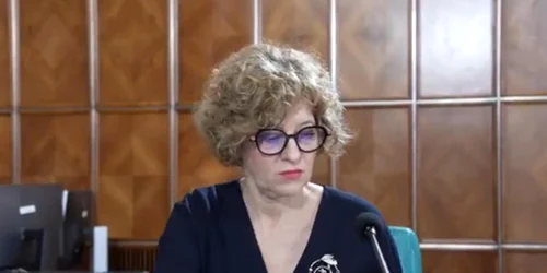 oana gheorghiu la guvern jpg