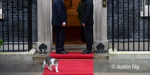 Keir Starmer Zelenski foto X @justin_ng