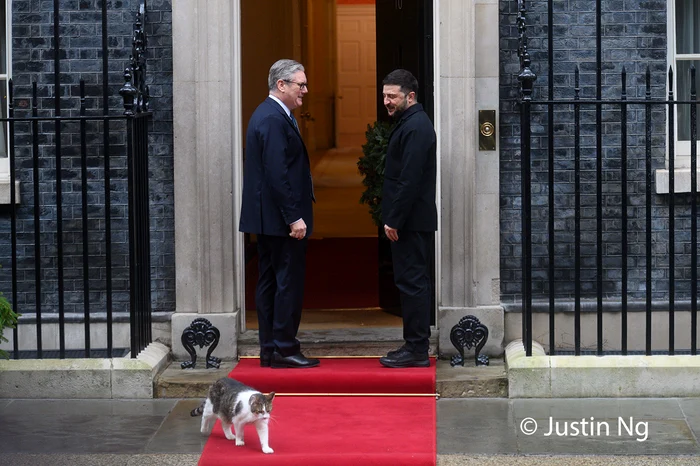 Felina are chiar si un cont pe X, fostul Twitter. FOTO: X/@justin_ng