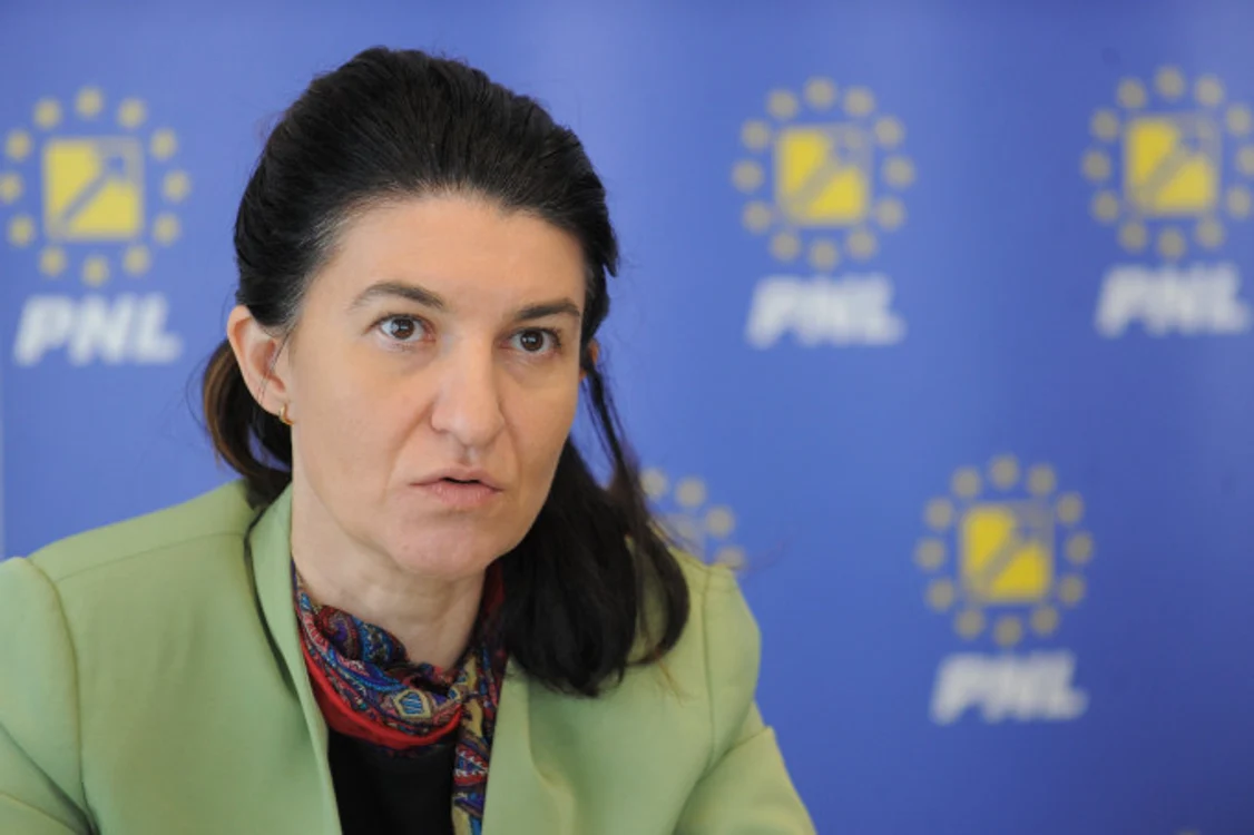 Ministrul Muncii, Violeta Alexandru, le-a luat apărarea colegilor săi de partid, care petreceau la Orban în birou