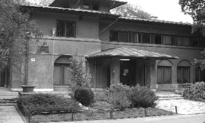 Octav Doicescu în Grădina Botanică png