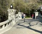 Parcul Cișmigiu FOTO Facebook/Nicușor Dan