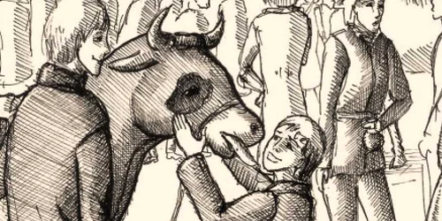 La fiecare 100 de pagini, volumul conţine ilustraţii sugestive