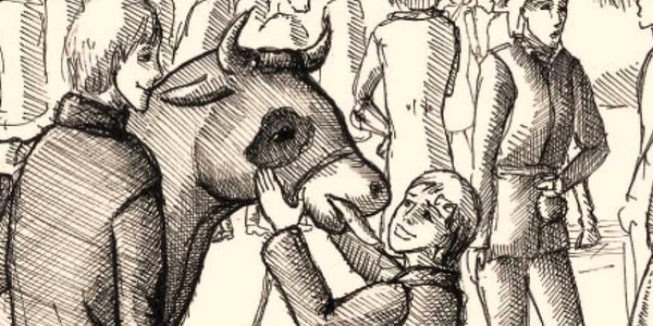 La fiecare 100 de pagini, volumul conţine ilustraţii sugestive