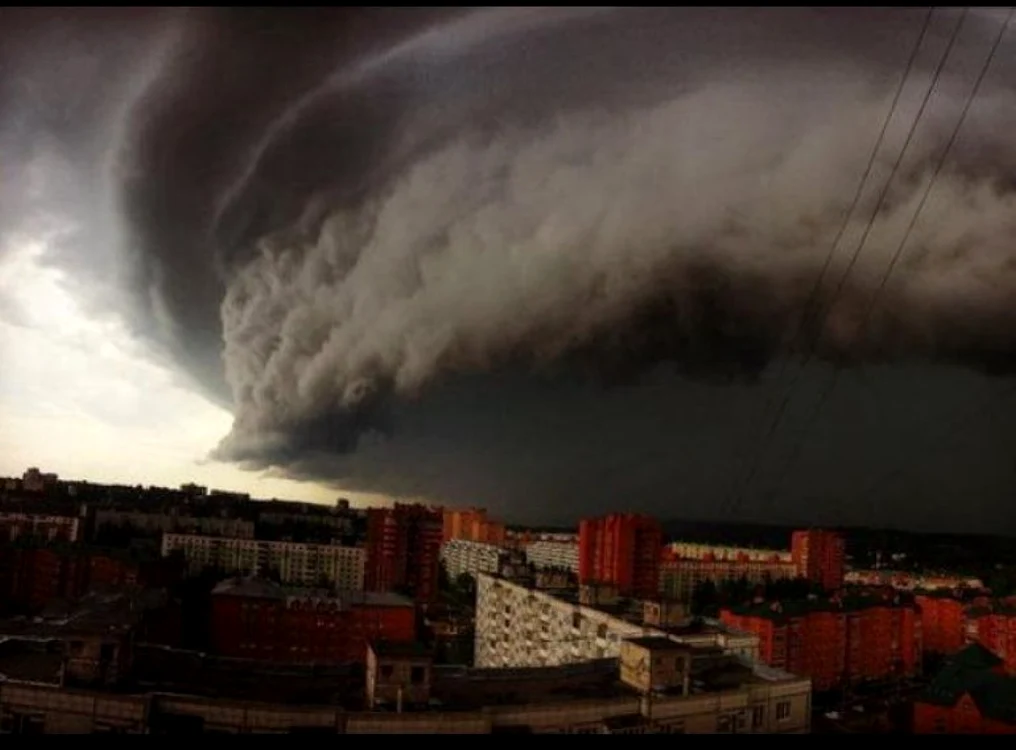 moscova furtuna