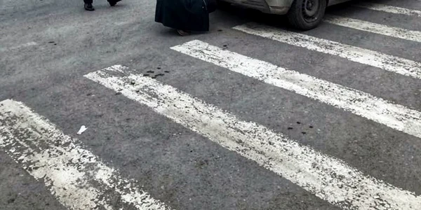 politia amenda numere de inmatriculare murdare foto politia romana facebook