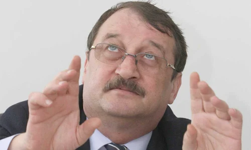 mircea basescu jpeg