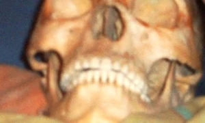 CLIIMA20121121 0030 1 jpeg