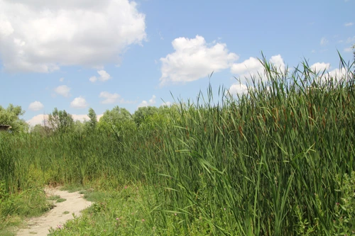 2 shutterstock 1799525629 jpg jpeg