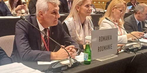 Daniel Zamfir și Alina Gorghiu Foto Facebook   Daniel Cătălin Zamfir jpg