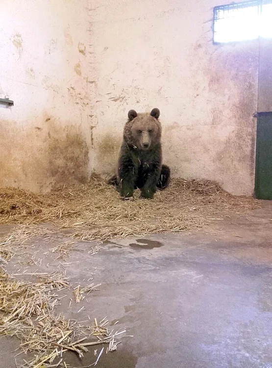 Ianuarie. A stat două luni la Zoo Bucov