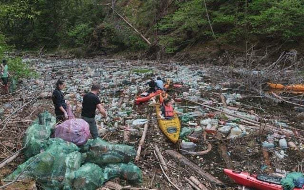 
    Şeful Gărzii Naţionale de Mediu a declarat că Primăria localităţii unde se află Lacul Beliş nu i-a ajutat deloc pe voluntarii care au curăţat locul  