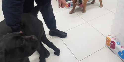 WhatsApp Image 2022 10 22 at 13 51 40 jpeg