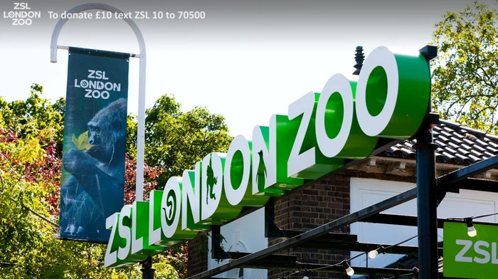 Grădina zoologică din Londra şi-a redeschis porţile.