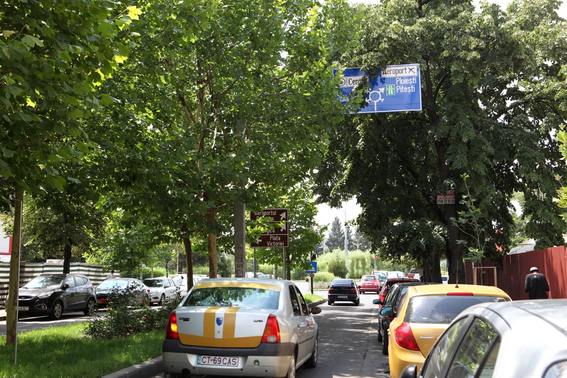 
    Pe strada Primăverii, aflată în buricul Bucurștiului, indicatoarele, dar și semaforul sunt acoperite de crengile copacilor  Fotografii: Florin Șuler  