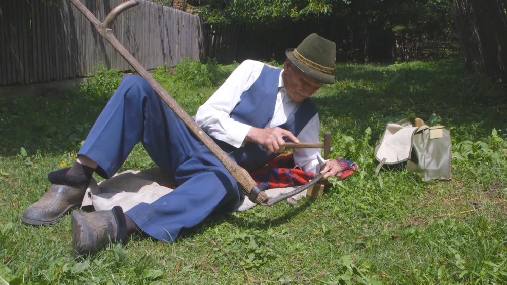 Gospodării din „zona albastră“ a României, prădate de un infractor. Printre victime, celebrul Gică Baciu, de 102 ani