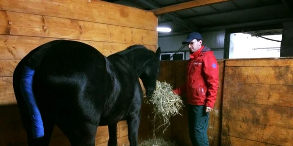 veterinar bistrita 1