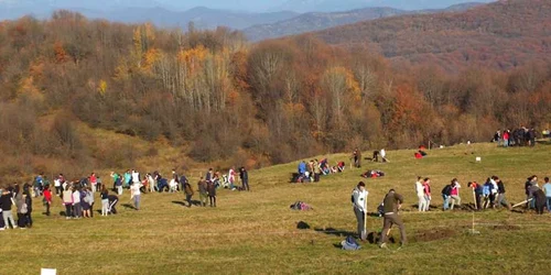 impadurire foto FB plantam fapte bune in romania