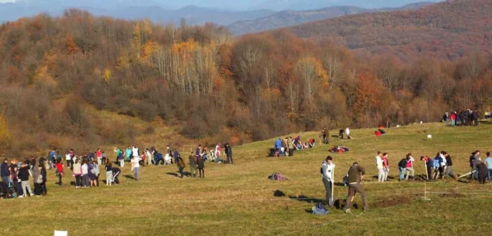 Voluntarii au plantat anul trecut aproape 10 000 de puieţi. FOTO Facebook Campanie Plantam fapte bune in Romania