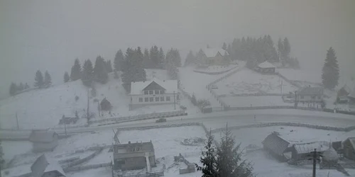 pasul tihuta ninsoare 