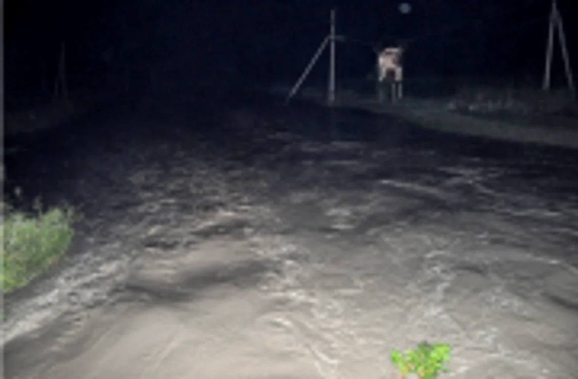 Apa a provocat stricăciuni agricole, au fost prejudiciate păşunile şi s-au înecat mai multe păsări în curţile oamenilor FOTO: DSE.md