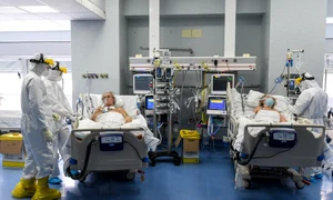 profimedia 0514349985 jpeg