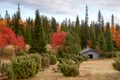 countryside 6579479 1280 jpg