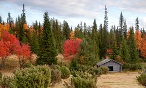 countryside 6579479 1280 jpg