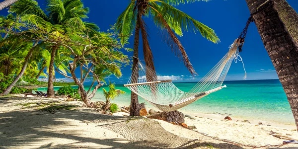Hamac la umbra palmierilor de pe insulele tropicale Fiji - plaja FOTO Shutterstock 