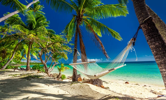 Hamac la umbra palmierilor de pe insulele tropicale Fiji - plaja FOTO Shutterstock 