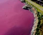 Au colorat laguna Trelew din Argentina in roz pentru a conserva creveţii. FOTO AFP