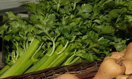 1 79801 original jpg jpeg