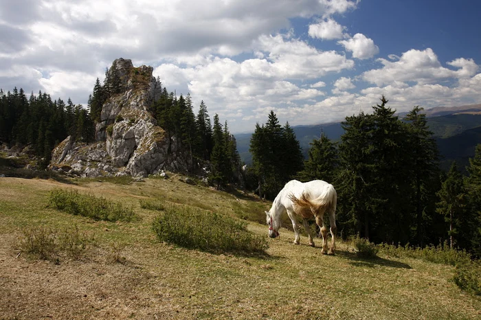 Parcul Naţional Buila Vânturariţa, o oază de frumuseţe nominalizată de UE ca zonă europeană de excelenţă