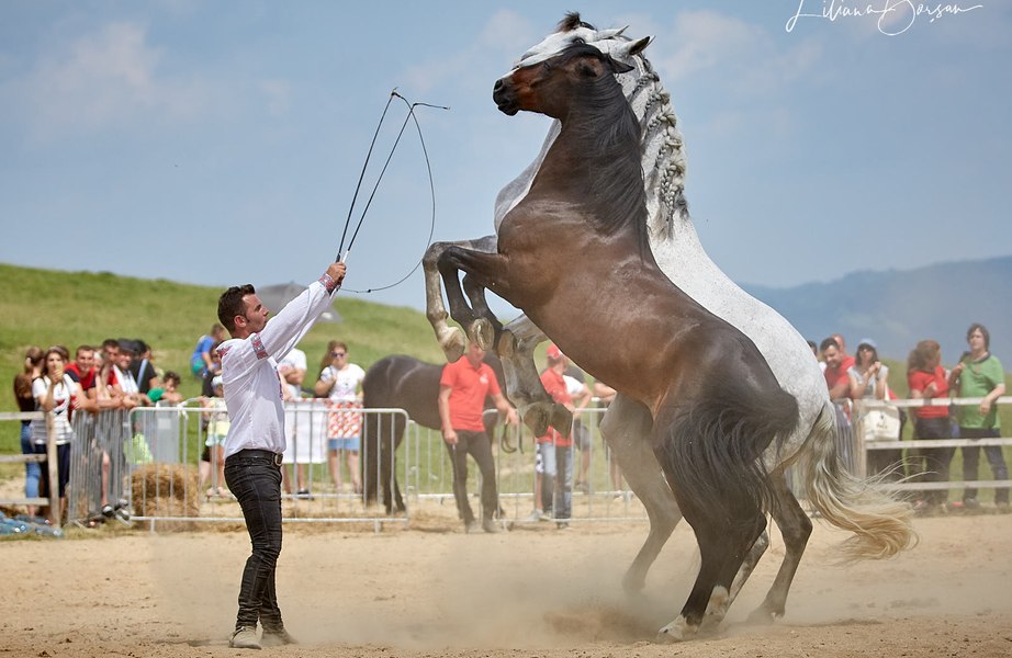 Haidook Summer Fest la Runcu de Dâmbovița. Haiduci, călăreți pricepuți și mâncare tradițională FOTO