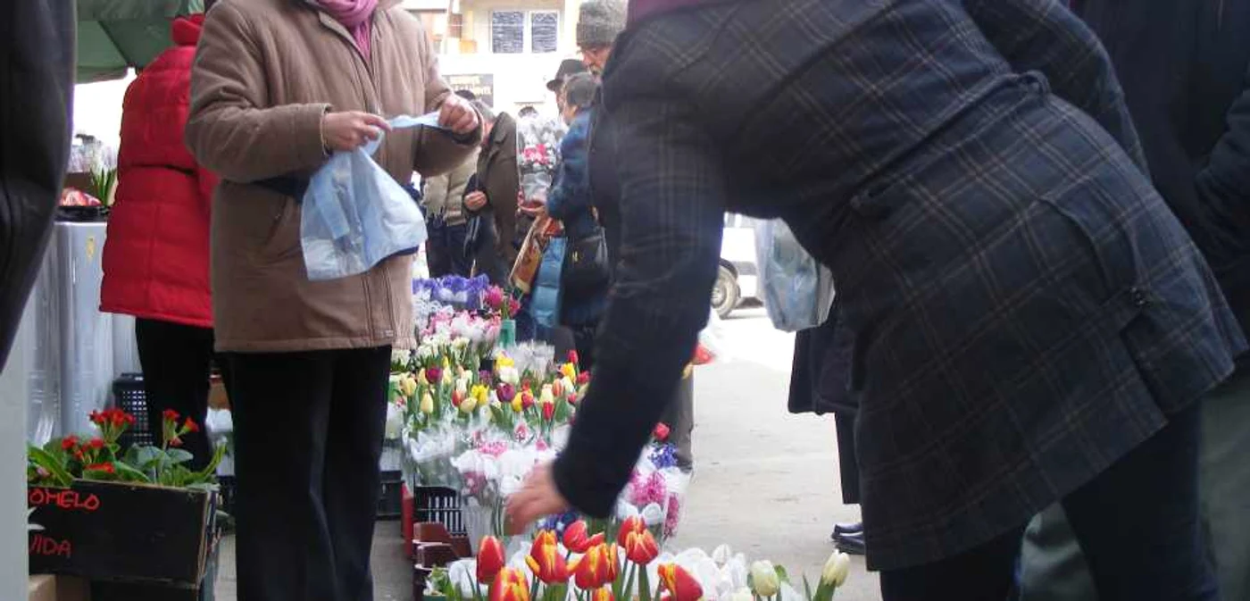 Lalelele de Gheorgheni mai solicitate decât crinii olandezi Foto: Mihai Bacalu