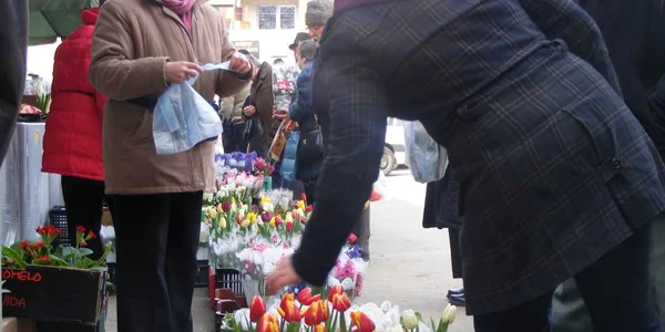 Lalelele de Gheorgheni mai solicitate decât crinii olandezi Foto: Mihai Bacalu