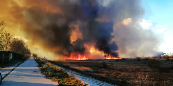 Incendiu Delta Vacaresti FOTO Alexandru Ciocanescu / Facebook