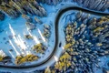 transbucegi 1200x674 jpg