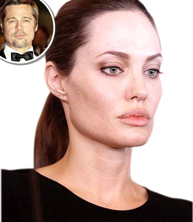 
    Brad Pitt  poate fi  contaminat  de boala  partenerei sale  