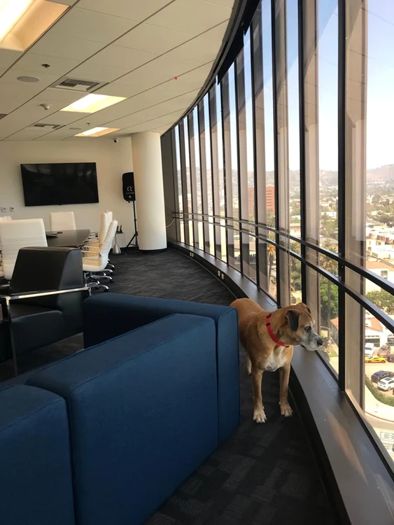 img 20190806 wa0020 jpg jpeg