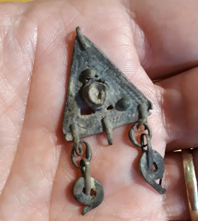 Foto: Dr. Achia Cohen Tavor, Israel Nature and Parks Authority / Facebook