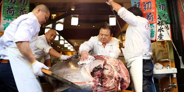  Kiyoshi Kimura presedinte al  Kiyomura Co taie un ton de aproximativ 2 milioane de dolari la piaţa de peşte din Tokyo. FOTO Guliver/Gettyimages