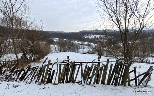 Autostrada Sibiu Pitești Valea Oltului, Tronsonul Cornetu Tigveni  Foto Daniel Guță ADEVĂRUL (1) jpg