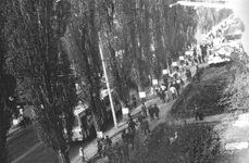 Revolta de la Brasov (Liberation) jpg